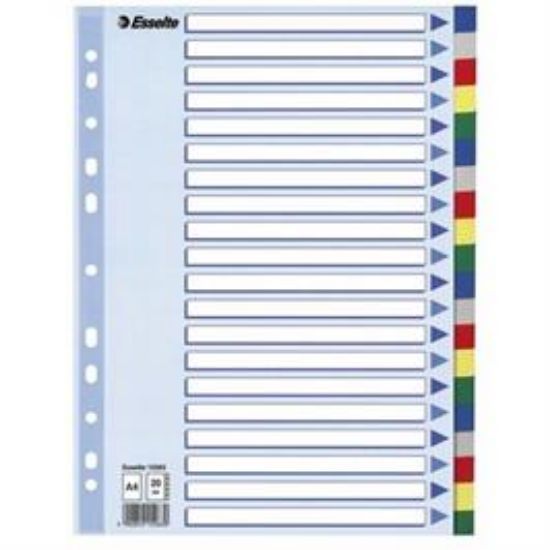 Billede af Faneblade Esselte A4 plast 20-delt (10)