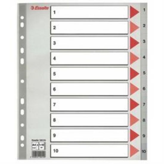 Billede af Plastregister Esselte A4 maxi 1-10 (10)