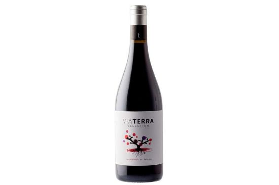 Billede af Rødvin Via Terra Selection Red ØKO